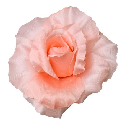 HLAVA RUŽA - LOSOSOVÁ P:10CM