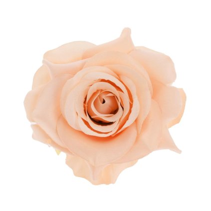 HLAVA RUŽA 10CM BROSKYŇA