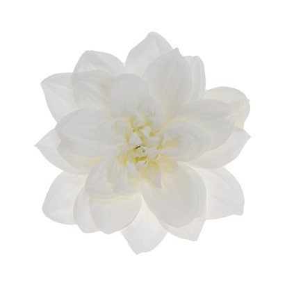 HLAVA DAHLIA 14CM  BIELA