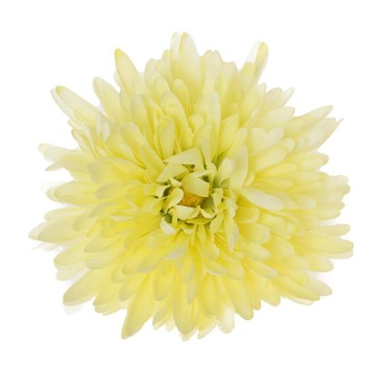 HLAVA CHRYZANTÉMA KRÉM D:16CM