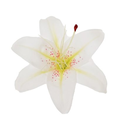 HLAVA ĽALIA KRÉMOVÁ D:12CM