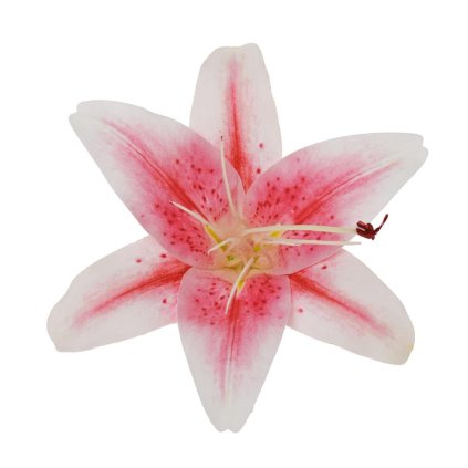 HLAVA ĽALIA RUŽOVÁ D:12CM