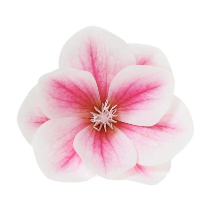 HLAVA MAGNÓLIA RUŽOVÁ D:11CM