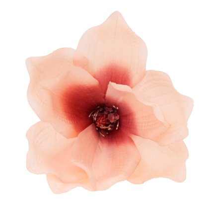 HLAVA MAGNÓLIA RUŽOVÁ 17cm