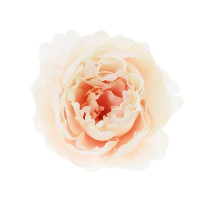 HLAVA PIVÓNIA KRÉM P:10CM