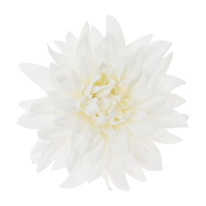 HLAVA DAHLIA 4CM BIELA