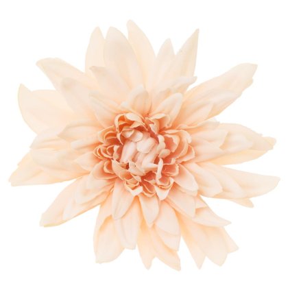 HLAVA DAHLIA 4CM MARHULKOVÁ