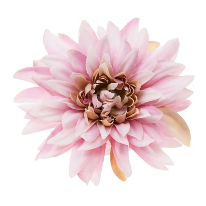 HLAVA DAHLIA 4CM  FIALKOVÁ