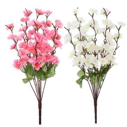 KYTICA SLIVKA 41CM MIX 2F