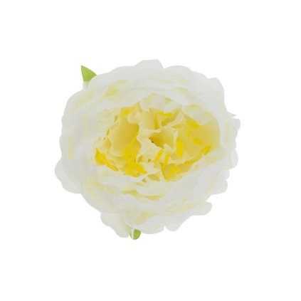 HLAVA PIVOŇKA KRÉM PRIEM:10CM