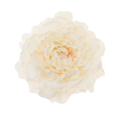 HLAVA PIVÓNIA 4CM KRÉM