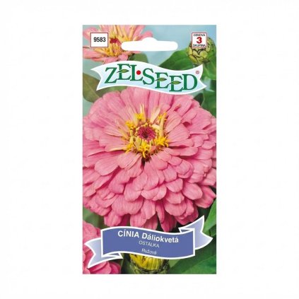CÍNIA DÁHLIOKV RUŽOVÁ 1g