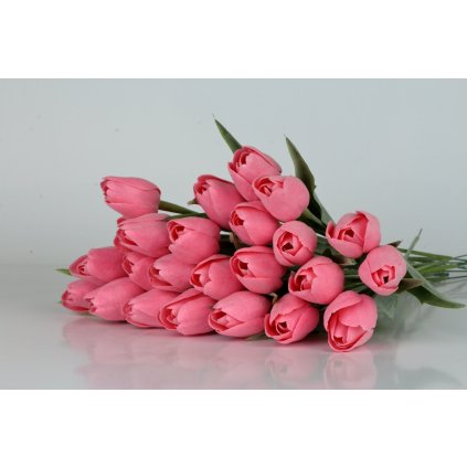 b tulipan jasne ruzovy two