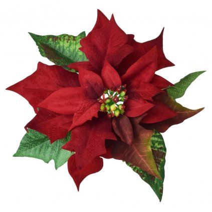 POINSETTIA ČERVENÁ KLIP 20CM