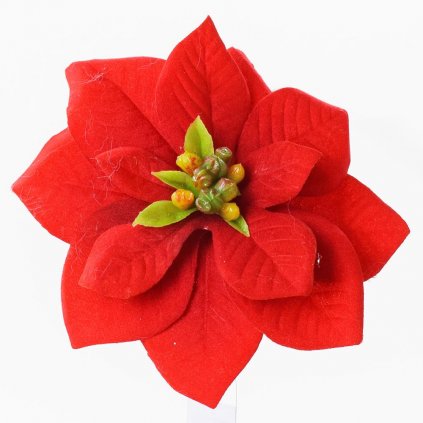 POINSETTIA ČERVENÁ KLIP 11CM