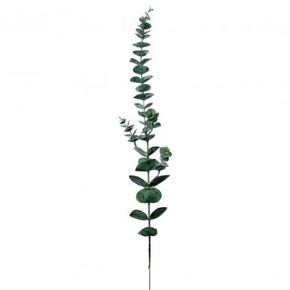 UMELÁ ZELEŇ EUCALYPTUS 69CM