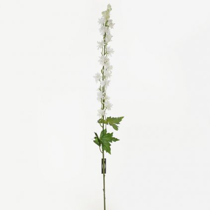 DELPHINIUM - BIELE 100CM