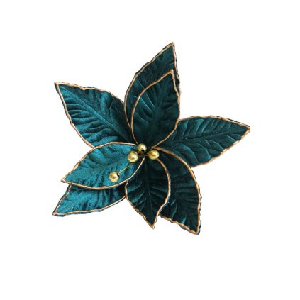 Tyrkysová vianočná ruža 26cm