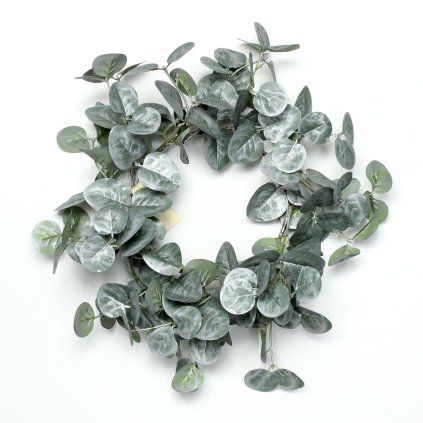 VENIEC EUCALYPTUS 20 CM