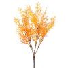 ZELEŇ ASPARÁT ORANŽOVÝ 40CM