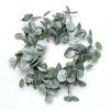 VENIEC EUCALYPTUS 20 CM