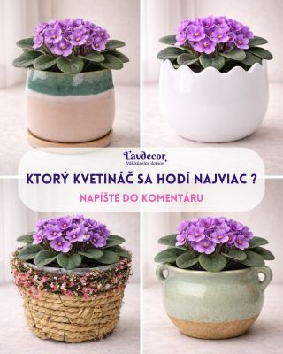 💜 Ktorý kvetináč by ste si vybrali vy? 💜 Rovnaká rastlina, rôzne kvetináče a úplne iný dojem ✨ Aj taká drobná izbová...