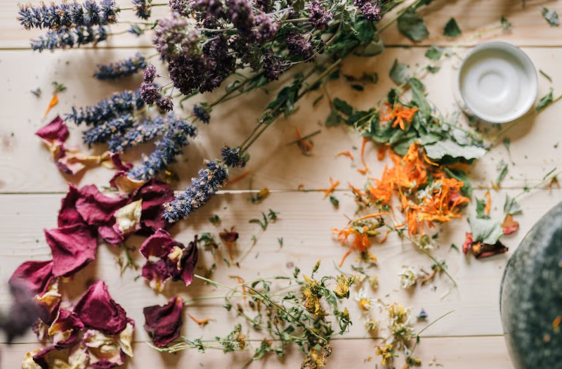 Prírodné ingrediencie v kozmetike: aké sú ich výhody a prečo ich zvoliť?