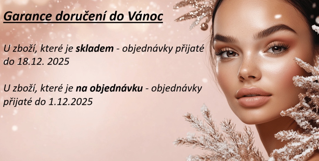 Garance doručení do Vánoc