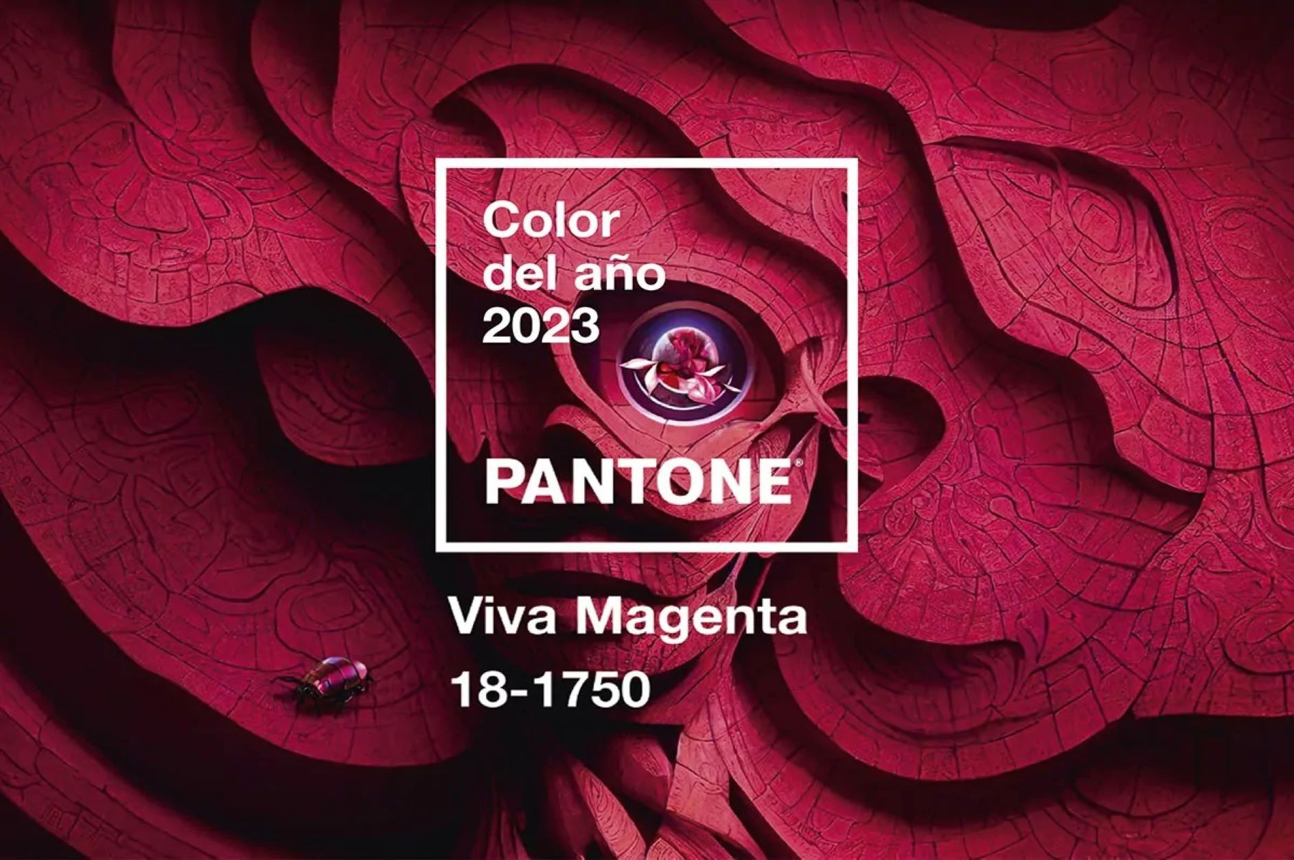 Zoznámte sa s farbou roka 2023! Viva Magenta Vás okúzli na prvý pohľad.