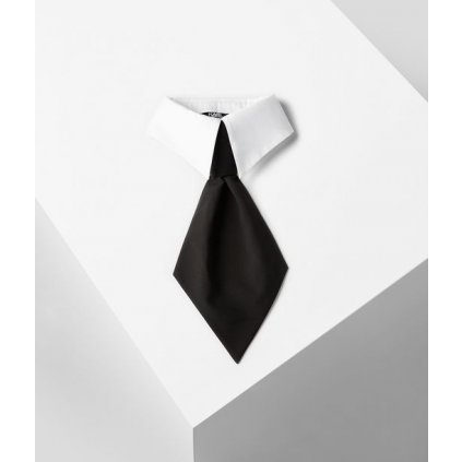 Dámská kravata - KARL LAGERFELD | Collar Tie