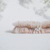 svatebni podvazek tylovy nude