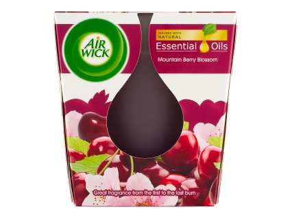 121650 airwick svicka 105g visnovy caj