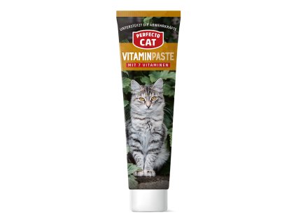 Perfecto Cat Vitaminpaste 100g