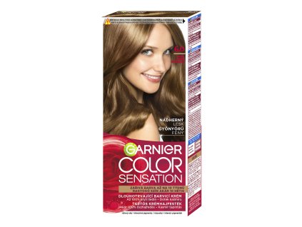 Garnier CS 6.0 Dunkelblond