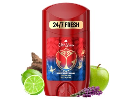 Old Spice Deo Solid 65ml Rockstar