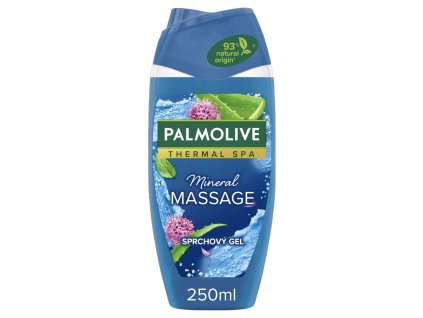 Palmolive SG 250ml Wellness-Massage
