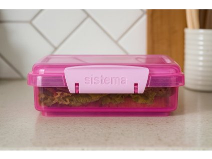 Sistema Lunch Sandwich Toast Box 450 ml, rosa