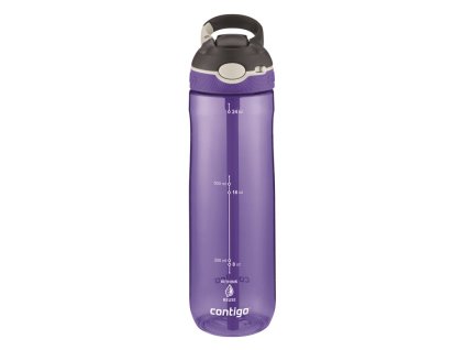Contigo Ashland Tritan Renew Trinkflasche 720 ml, Grapevine