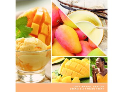 YANKEE CANDLE MANGO-EISCREME SIGNATURE GROSS