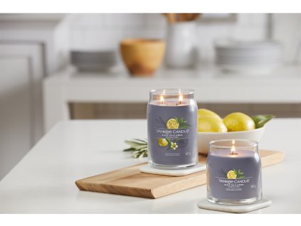 YANKEE CANDLE SCHWARZER TEE & ZITRONE SIGNATURE MEDIUM