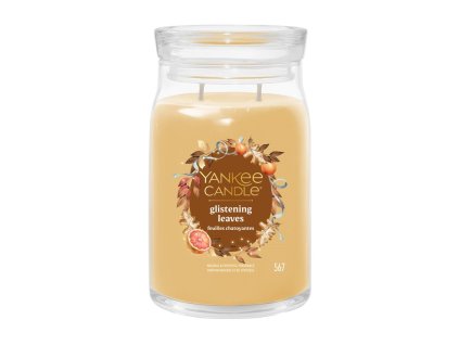 YANKEE CANDLE GLÄNZENDE BLÄTTER SIGNATURE GROSS