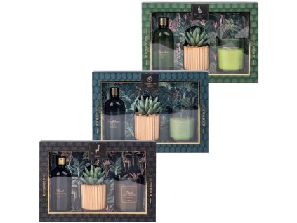 Geschenkset Glas 1 Duftkerze + Diffusor Kaktus Zementblumentopf Mischung 62 x 75 mm