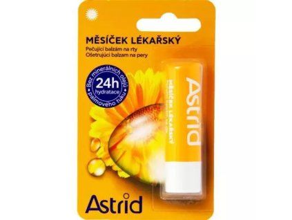 Astrid Lippenbalsam mit Heilklette 4,8 g