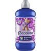 777218-Coccolino-avivaz-Purple-Orchid-Bl