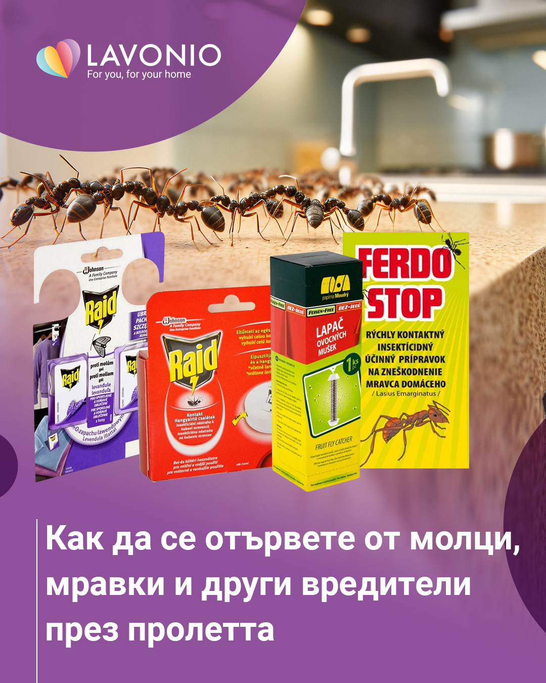 Как да се отървете от молци, мравки и други вредители през пролетта
