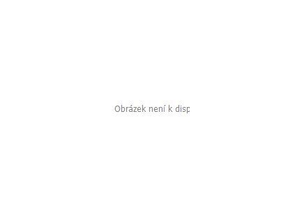 allnature dynove seminko bio 100 g