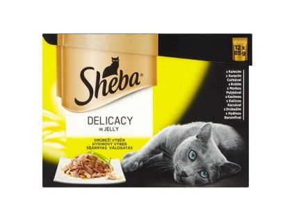 cz pim 295610002001 00