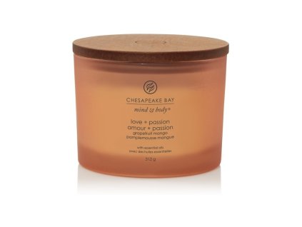 SCENTED CANDLE CHESAPEAKE BAY CANDLE LOVE & PASSION 3 WICKS