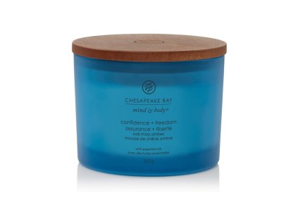 SCENTED CANDLE CHESAPEAKE BAY CANDLE CONFIDENCE & FREEDOM 3 WICKS