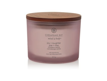SCENTED CANDLE CHESAPEAKE BAY CANDLE JOY & LAUGHTER 3 WICKS